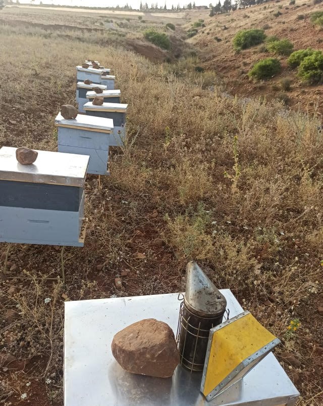 منتجات العسل